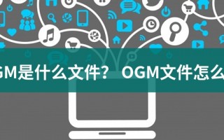 ogm，ogm折相思破解版